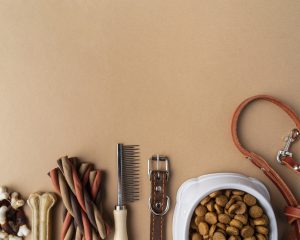 akcesoria dlazwierząt, szczotka, karma - produkty weterynaryjne